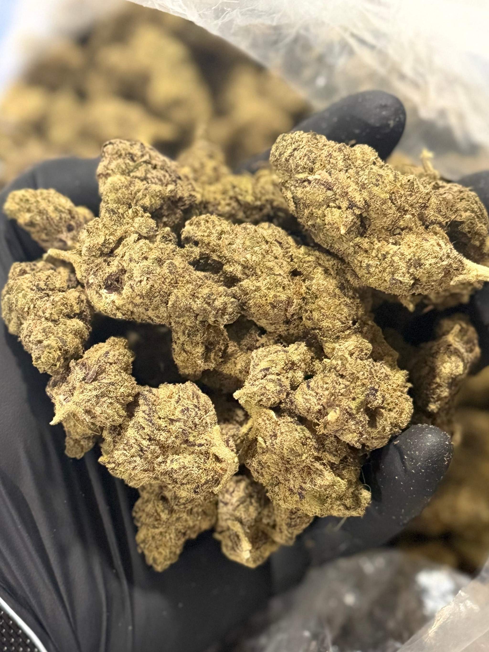 Purple Lavender– Exotic Indoor THCA Flower