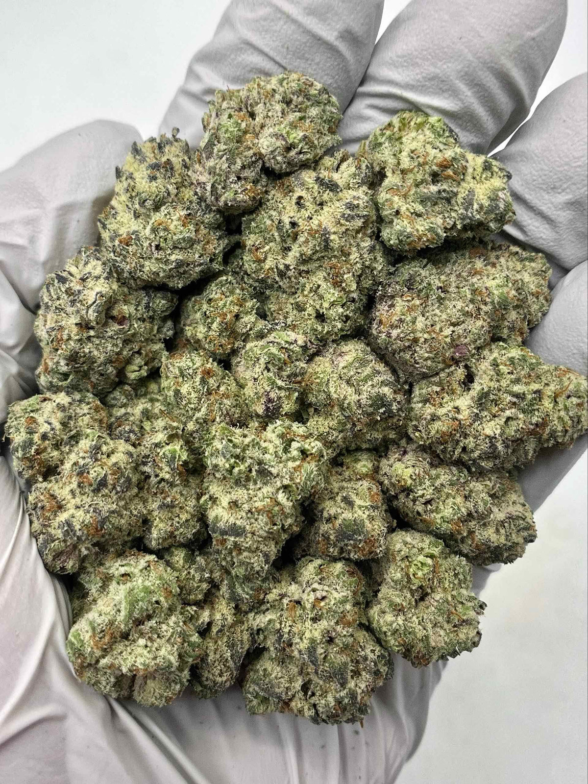 Chronic, frosty Diamond Kings Oreoz indoor exotic THCa cannabis buds with visible trichomes and hints of purple, green, and orange.